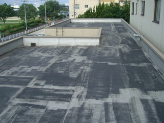 CIMG5321.JPG
