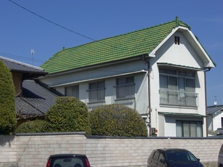 CIMG5954.JPG