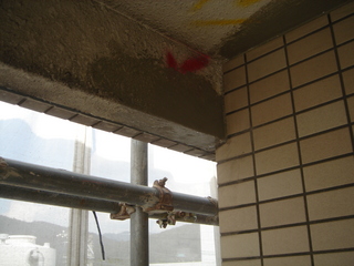 DSC00060.JPG