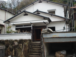 DSC04436.JPG
