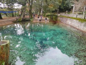 %e5%88%a5%e5%ba%9c%e5%bc%81%e5%a4%a9%e6%b1%a0