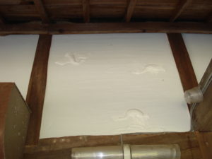 鶴