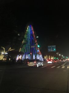 IMG_5784