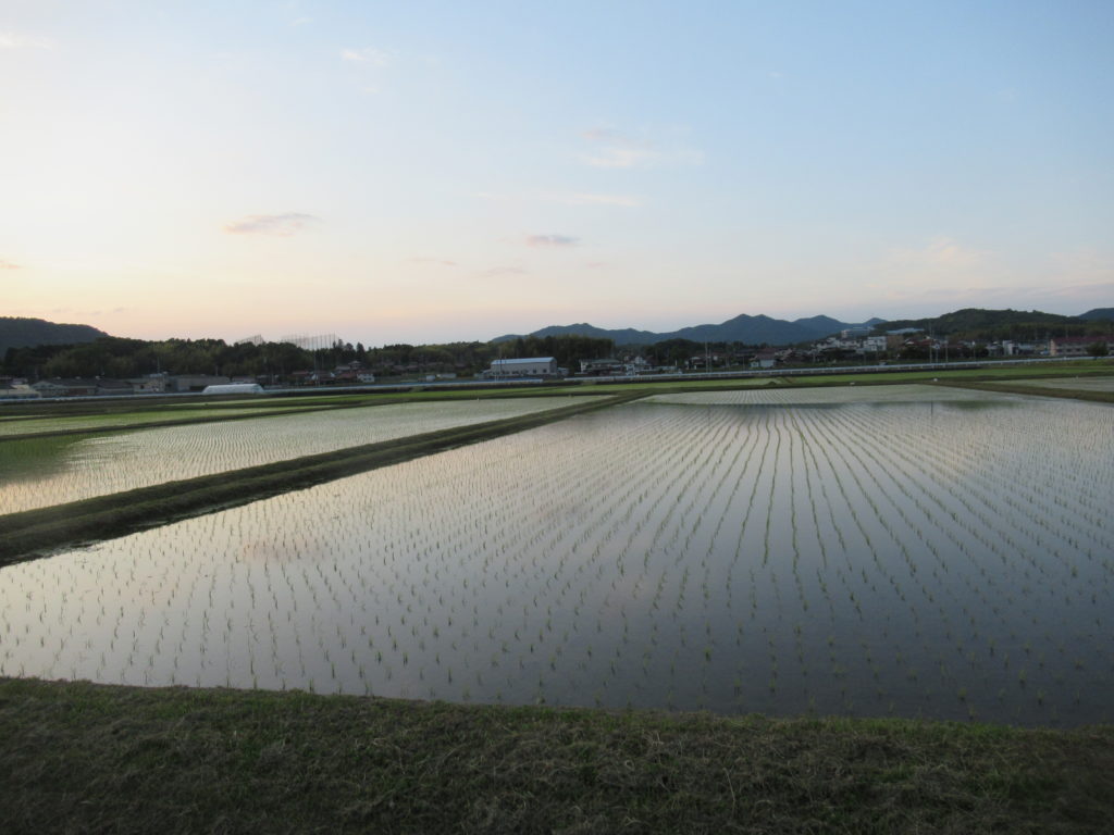 田植完了の田園風景