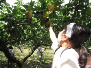 line_oa_chat_200923_121428