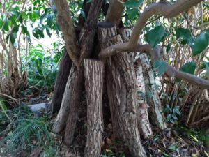 line_oa_chat_210204_075355