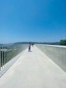 S__42598451